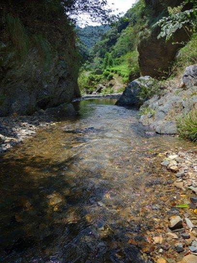 【网页标题】- 90后讲述真实鹤岗生活,鹤岗的真实面貌究竟如何?-最佳知识问答网页